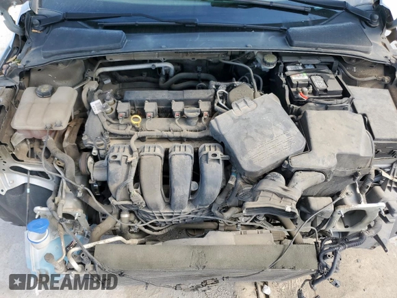 2014 Ford Focus SE with VIN 1FADP3F26EL174643, listed as a Copart auction lot 53564475 with 74,444 mi miles and Salvage Title. Bid and sale history available at carsss.com. Image 11.