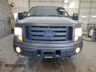 2009 Ford F-150 XL with VIN 1FTPX14V39KB41099, listed as a Copart auction lot 57279624 with 114,594 mi miles and Clean Title. Bid and sale history available at carsss.com. Image 5.