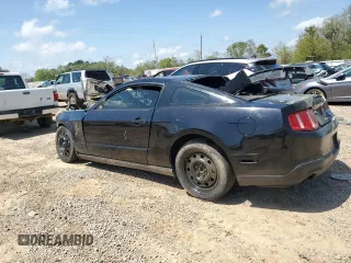 2010 Ford Mustang GT с VIN 1ZVBP8CH3A5179849, выставлен на аукционе Copart как лот 51677155 с пробегом Не указан миль и Списание • Salvage title. История ставок и продаж доступна на DreamBid. Изображение 2.