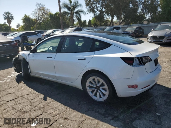 2023 Tesla Model 3 with VIN 5YJ3E1EA7PF450343, listed as a Copart auction lot 52446595 with 36,137 mi miles and Salvage Title. Bid and sale history available at DreamBid. Image 2.