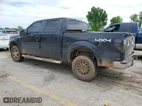 2009 Ford F-150 XL with VIN 1FTPW14V69FB18458, listed as a Copart auction lot 55684195 with 338,034 mi miles and Salvage title. Bid and sale history available at DreamBid. Image 2.
