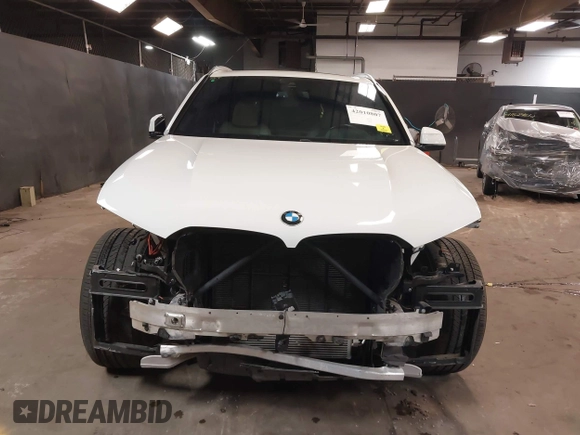 2019 BMW X5 xDrive40i with VIN 5UXCR6C57KLL24723, listed as a IAAI auction lot 42010807 with 49,257 mi miles and . Bid and sale history available at DreamBid. Image 13.