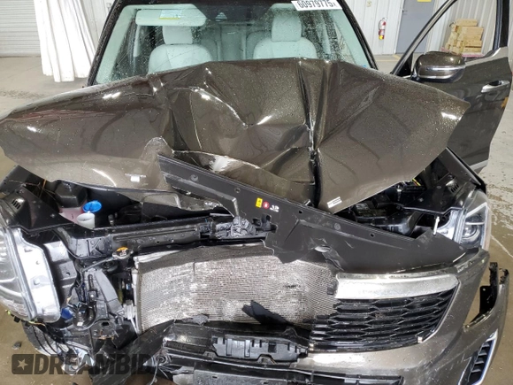 2022 Kia Telluride S with VIN 5XYP6DHC3NG248392, listed as a Copart auction lot 60979775 with Not provided miles and Salvage title. Bid and sale history available at DreamBid. Image 12.