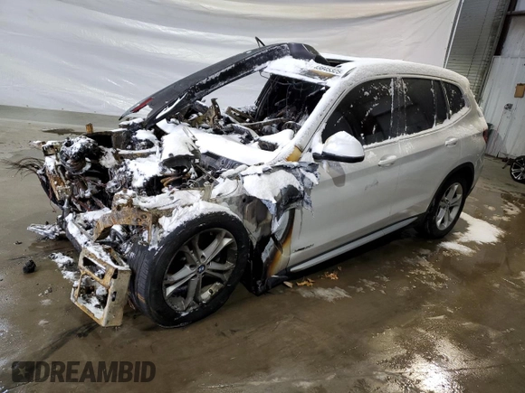 2018 BMW X3 xDrive30i with VIN 5UXTR9C58JLC76295, listed as a Copart auction lot 43845325 with 0 mi miles and Salvage Title. Bid and sale history available at carsss.com. Image 1.