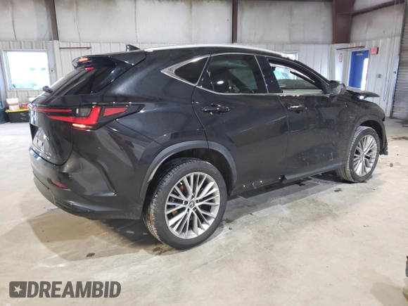 2024 Lexus NX 350 Luxury with VIN 2T2HGCEZ8RC042924, listed as a Copart auction lot 46377495 with 14,228 mi miles and Salvage title. Bid and sale history available at DreamBid. Image 3.