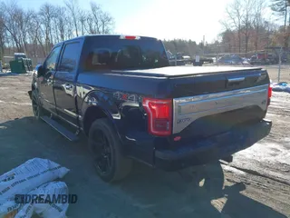 2017 Ford F-150 XL with VIN 1FTEW1EGXHFB14984, listed as a IAAI auction lot 41546709 with 132,132 mi miles. Bid and sale history available at carsss.com. Image 3.