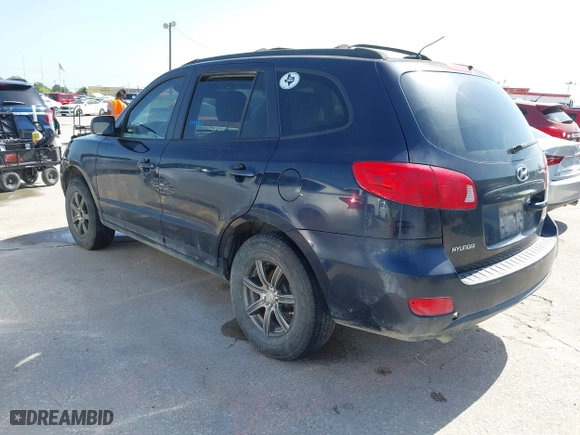 2009 Hyundai Santa Fe GLS with VIN 5NMSG13D39H241332, listed as a IAAI auction lot 42009902 with 192,929 mi miles. Bid and sale history available at carsss.com. Image 3.