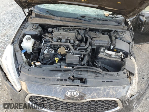 2014 Kia Cadenza Premium with VIN KNALN4D75E5163201, listed as a Copart auction lot 61553824 with 133,490 mi miles and Salvage Title. Bid and sale history available at carsss.com. Image 11.