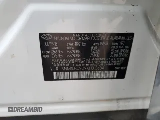 2019 Hyundai Santa Fe SEL Plus with VIN 5NMS3CAD9KH015604, listed as a Copart auction lot 49282545 with 102,546 mi miles and Salvage Title. Bid and sale history available at carsss.com. Image 16.