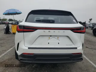 2025 Lexus NX 250 Premium with VIN JTJGDCAZ6S2025006, listed as a Copart auction lot 59337965 with 1,219 mi miles and Salvage title. Bid and sale history available at DreamBid. Image 6.