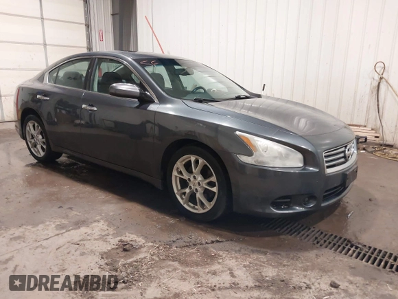 2013 Nissan Maxima SV with VIN 1N4AA5AP5DC801446, listed as a IAAI auction lot 41996092 with 124,823 mi miles and . Bid and sale history available at DreamBid. Image 1.
