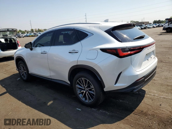 2023 Lexus NX with VIN JTJGKCEZXP5008389, listed as a Copart auction lot 62543604 with 8,347 mi miles and Clean Title. Bid and sale history available at carsss.com. Image 2.