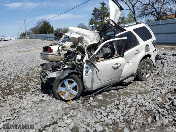 2010 Ford Escape Limited with VIN 1FMCU9EG7AKA54098, listed as a Copart auction lot 51514855 with 0 mi miles and Non Repairable. Bid and sale history available at carsss.com. Image 1.
