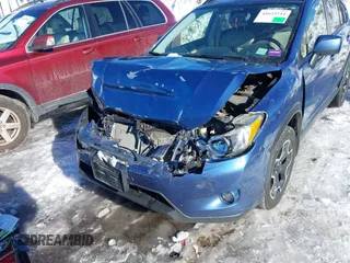 2014 Subaru Crosstrek Premium with VIN JF2GPACC4E9317838, listed as a IAAI auction lot 41625711 with Not provided miles and . Bid and sale history available at DreamBid. Image 6.