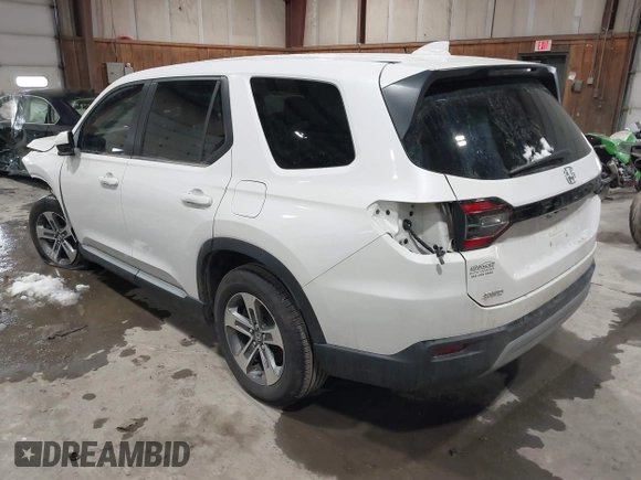 2025 Honda Pilot EX-L with VIN 5FNYG1H41SB045061, listed as a IAAI auction lot 41571217 with 7,971 mi miles and . Bid and sale history available at DreamBid. Image 3.