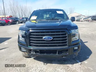 2016 Ford F-150 XLT with VIN 1FTEW1EG9GFD14690, listed as a IAAI auction lot 41984532 with 119,364 mi miles and . Bid and sale history available at DreamBid. Image 12.