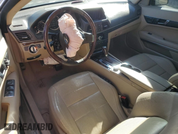 2010 Mercedes-Benz E-Class E 550 with VIN WDDKJ7CB1AF033072, listed as a Copart auction lot 48242735 with 125,269 mi miles and Salvage Title. Bid and sale history available at carsss.com. Image 8.