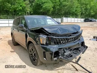 2025 Kia Telluride EX X-Line z VIN 5XYP3DGC8SG632397, wystawiony jako Copart lot #57338685 z przebiegiem 501 mil mil oraz Szkoda całkowita • Salvage title. Historia ofert i sprzedaży dostępna na DreamBid. Obrazek 14.