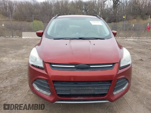 2014 Ford Escape SE with VIN 1FMCU0G99EUC38074, listed as a IAAI auction lot 42001227 with 209,467 mi miles. Bid and sale history available at carsss.com. Image 6.