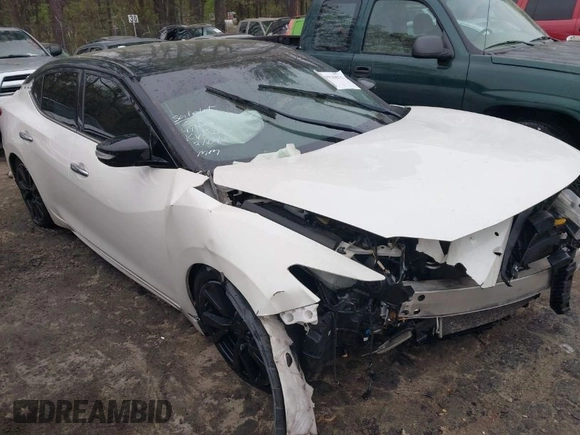 2017 Nissan Maxima Platinum with VIN 1N4AA6AP2HC412534, listed as a IAAI auction lot 41910678 with 140,675 mi miles and . Bid and sale history available at DreamBid. Image 1.