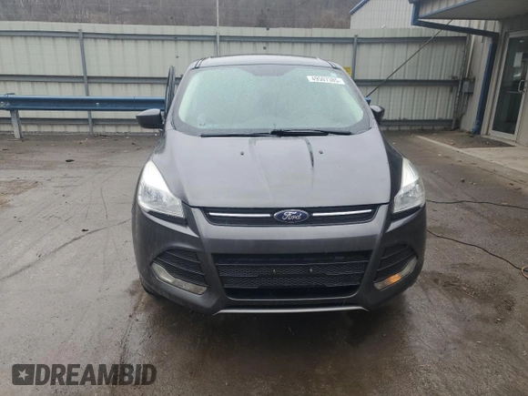 2016 Ford Escape SE with VIN 1FMCU0GX6GUB75551, listed as a Copart auction lot 49507385 with 123,051 mi miles and Salvage Title. Bid and sale history available at carsss.com. Image 5.