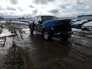 2015 Ford F-150 XLT with VIN 1FTFW1EG9FFD09525, listed as a Copart auction lot 52586755 with 93,817 mi miles and Salvage Title. Bid and sale history available at carsss.com. Image 11.