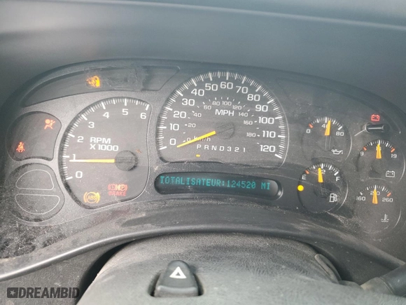 2006 Chevrolet Silverado 1500 LS with VIN 3GCEC14X96G221031, listed as a Copart auction lot 69818934 with 124,520 mi miles and Salvage Title. Bid and sale history available at carsss.com. Image 9.