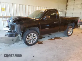 2013 Chevrolet Silverado 1500 Work Truck with VIN 1GCNCPEX9DZ113524, listed as a Copart auction lot 47647055 with 117,301 mi miles and Salvage Title. Bid and sale history available at DreamBid. Image 1.