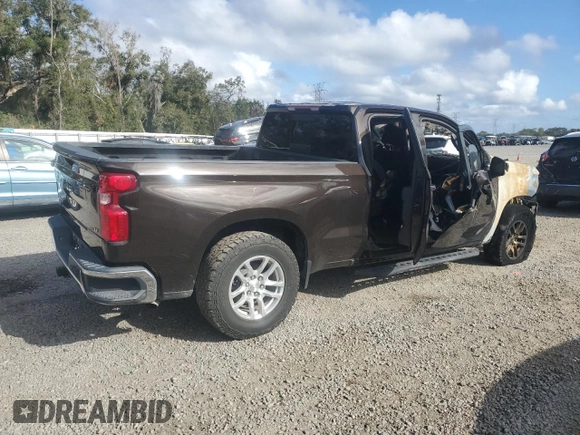 2019 Chevrolet Silverado 1500 LT with VIN 1GCRWCEK2KZ303653, listed as a Copart auction lot 81674324 with Not Provided miles and Non Repairable. Bid and sale history available at DreamBid. Image 3.