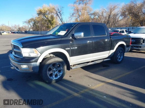 2009 Dodge 1500 SLT with VIN 1D3HV13T79J528679, listed as a IAAI auction lot 40873674 with Not Provided miles and . Bid and sale history available at DreamBid. Image 2.