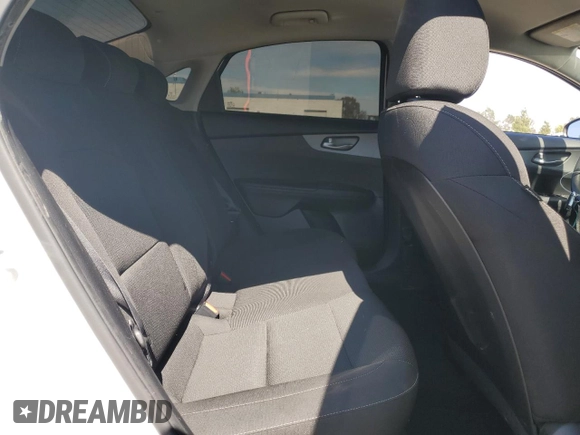 2019 Kia Forte LXS with VIN 3KPF24ADXKE070564, listed as a Copart auction lot 63863095 with 116,577 mi miles and Salvage title. Bid and sale history available at DreamBid. Image 10.