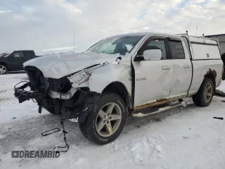 2009 Dodge 1500 Sport z VIN 1D3HV18T69S785822, wystawiony jako Copart lot #88335545 z przebiegiem 191 679 mil mil oraz Czysty tytuł • Clean title. Historia ofert i sprzedaży dostępna na DreamBid. Obrazek 1.