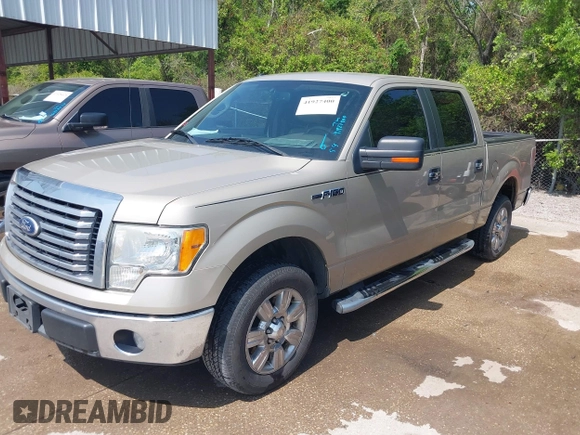 2010 Ford F-150 XL with VIN 1FTEW1C87AFD11189, listed as a IAAI auction lot 41927400 with 143,851 mi miles. Bid and sale history available at carsss.com. Image 2.