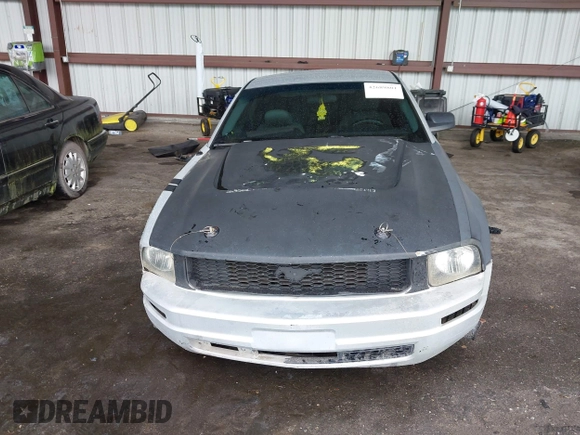 2005 Ford Mustang Deluxe with VIN 1ZVFT80N955114839, listed as a IAAI auction lot 42689801 with 149,556 mi miles and . Bid and sale history available at DreamBid. Image 17.