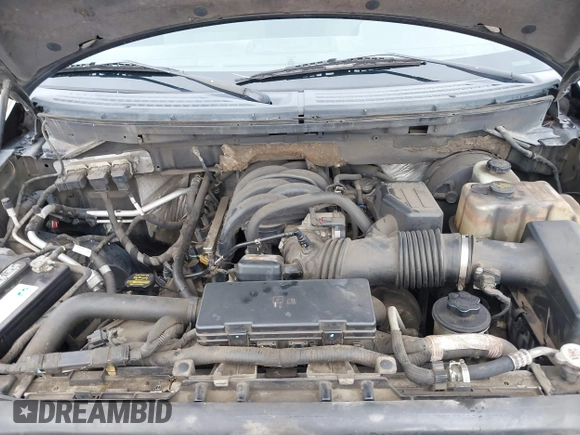 2009 Ford F-150 с VIN 1FTPF14809KB13841, выставлен на аукционе IAAI как лот 41775353 с пробегом 220 204 миль миль и . История ставок и продаж доступна на DreamBid. Изображение 6.