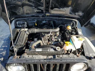 2002 Jeep Wrangler X with VIN 1J4FA39S62P775517, listed as a Copart auction lot 75336364 with Not Provided miles and Salvage Title. Bid and sale history available at carsss.com. Image 11.