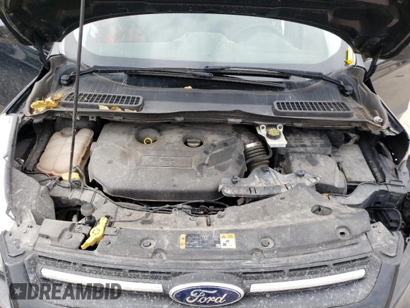 2014 Ford Escape SE with VIN 1FMCU9G99EUE48159, listed as a Copart auction lot 66864794 with 175,990 mi miles and Salvage Title. Bid and sale history available at DreamBid. Image 12.