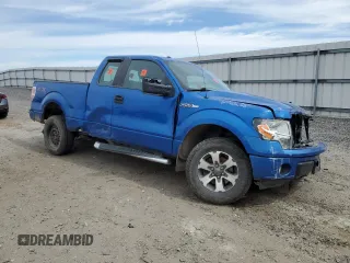 2014 Ford F-150 XL with VIN 1FTFX1EF4EFB95596, listed as a Copart auction lot 49229315 with 0 mi miles and Salvage Title. Bid and sale history available at carsss.com. Image 4.