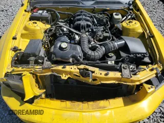 2005 Ford Mustang Deluxe with VIN 1ZVFT80N055243648, listed as a Copart auction lot 50080295 with 122,686 mi miles and Salvage Title. Bid and sale history available at carsss.com. Image 11.