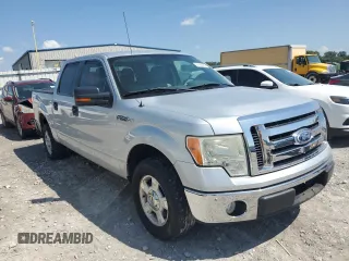 2010 Ford F-150 XL with VIN 1FTEW1C88AFA71473, listed as a Copart auction lot 61420085 with 143,965 mi miles and Salvage title. Bid and sale history available at DreamBid. Image 4.