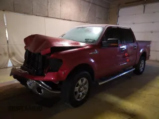 2010 Ford F-150 XL with VIN 1FTEW1E88AFD74475, listed as a Copart auction lot 33668862 with Not Provided miles and Salvage Title. Bid and sale history available at carsss.com. Image 2.