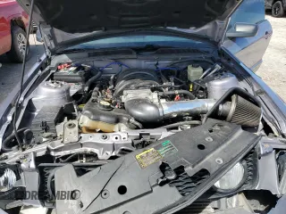 2006 Ford Mustang GT Deluxe with VIN 1ZVFT82H665257823, listed as a Copart auction lot 49920895 with 190,865 mi miles and Salvage Title. Bid and sale history available at carsss.com. Image 13.
