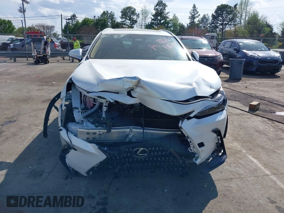 2025 Lexus NX 350h Premium with VIN JTJGKCEZ6S5028826, listed as a IAAI auction lot 41966577 with 3,936 mi miles and . Bid and sale history available at DreamBid. Image 13.