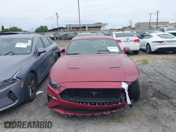 2019 Ford Mustang GT with VIN 1FA6P8CF8K5168730, listed as a IAAI auction lot 41847852 with 42,876 mi miles. Bid and sale history available at carsss.com. Image 13.
