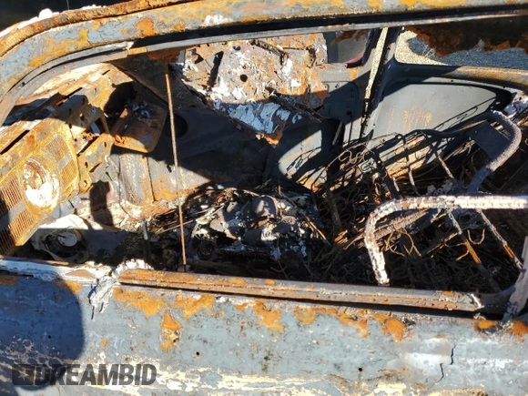 1969 Volkswagen Beetle with VIN 119732081, listed as a Copart auction lot 73503964 with Not Provided miles and Non Repairable. Bid and sale history available at DreamBid. Image 7.