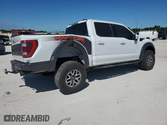 2023 Ford F-150 Raptor with VIN 1FTFW1RG1PFB24123, listed as a Copart auction lot 49594495 with 24,175 mi miles and Salvage Title. Bid and sale history available at DreamBid. Image 3.