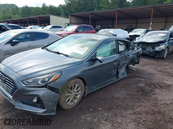 2018 Hyundai Sonata SE z VIN 5NPE24AF0JH641955, wystawiony jako IAAI lot #42255157 z przebiegiem 120 992 mil mil oraz . Historia ofert i sprzedaży dostępna na DreamBid. Obrazek 6.