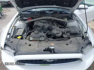 2014 Ford Mustang V6 with VIN 1ZVBP8EM2E5220391, listed as a IAAI auction lot 42160616 with 178,080 mi miles and . Bid and sale history available at DreamBid. Image 10.