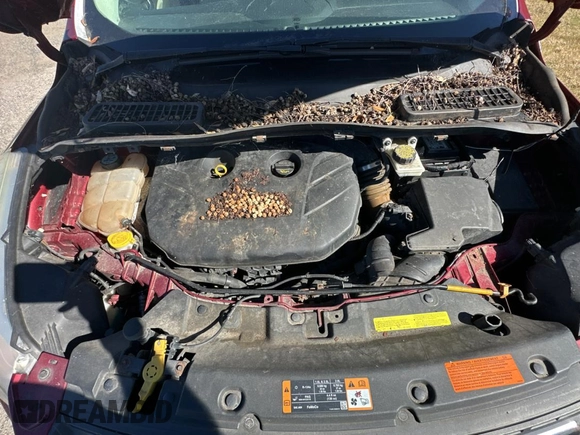 2013 Ford Escape SE with VIN 1FMCU9G95DUD25554, listed as a Copart auction lot 83068844 with Not provided miles and Clean title. Bid and sale history available at DreamBid. Image 7.