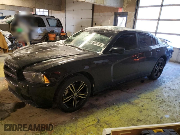 2014 Dodge Charger SXT Plus with VIN 2C3CDXJG0EH149134, listed as a Copart auction lot 89342435 with 282,021 mi miles and Salvage Title. Bid and sale history available at carsss.com. Image 1.